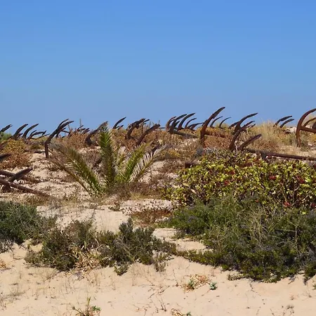 Penthouse Ria Appartement