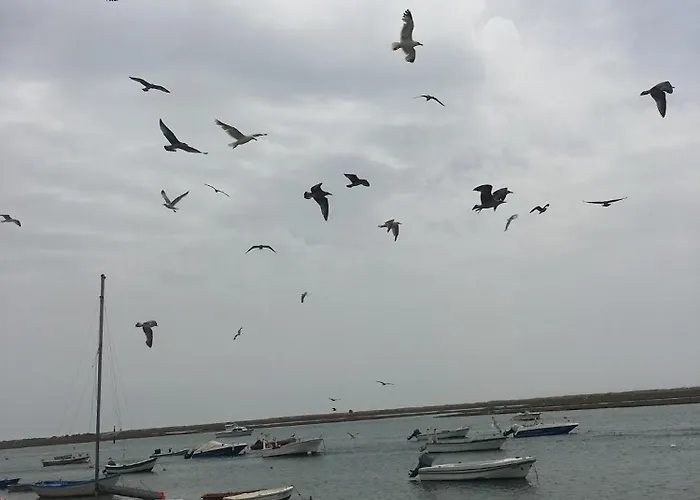 Apartment Penthouse Ria